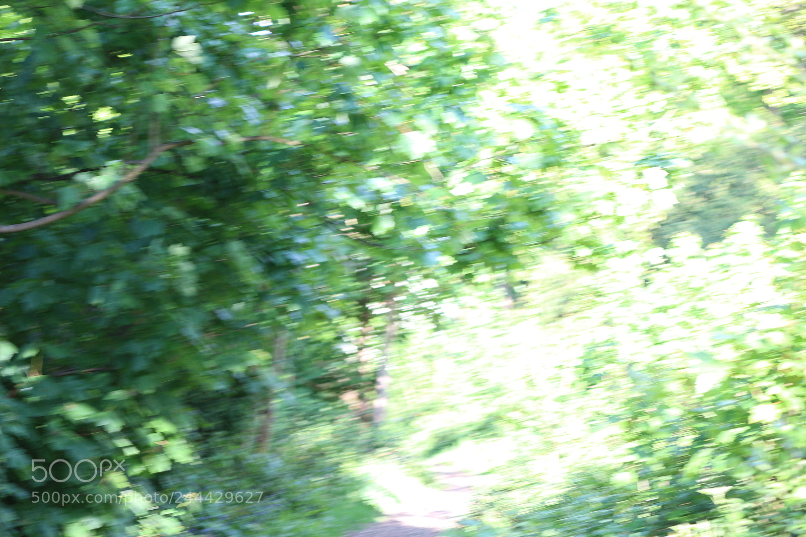 Canon EOS 650D (EOS Rebel T4i / EOS Kiss X6i) sample photo. Img photography
