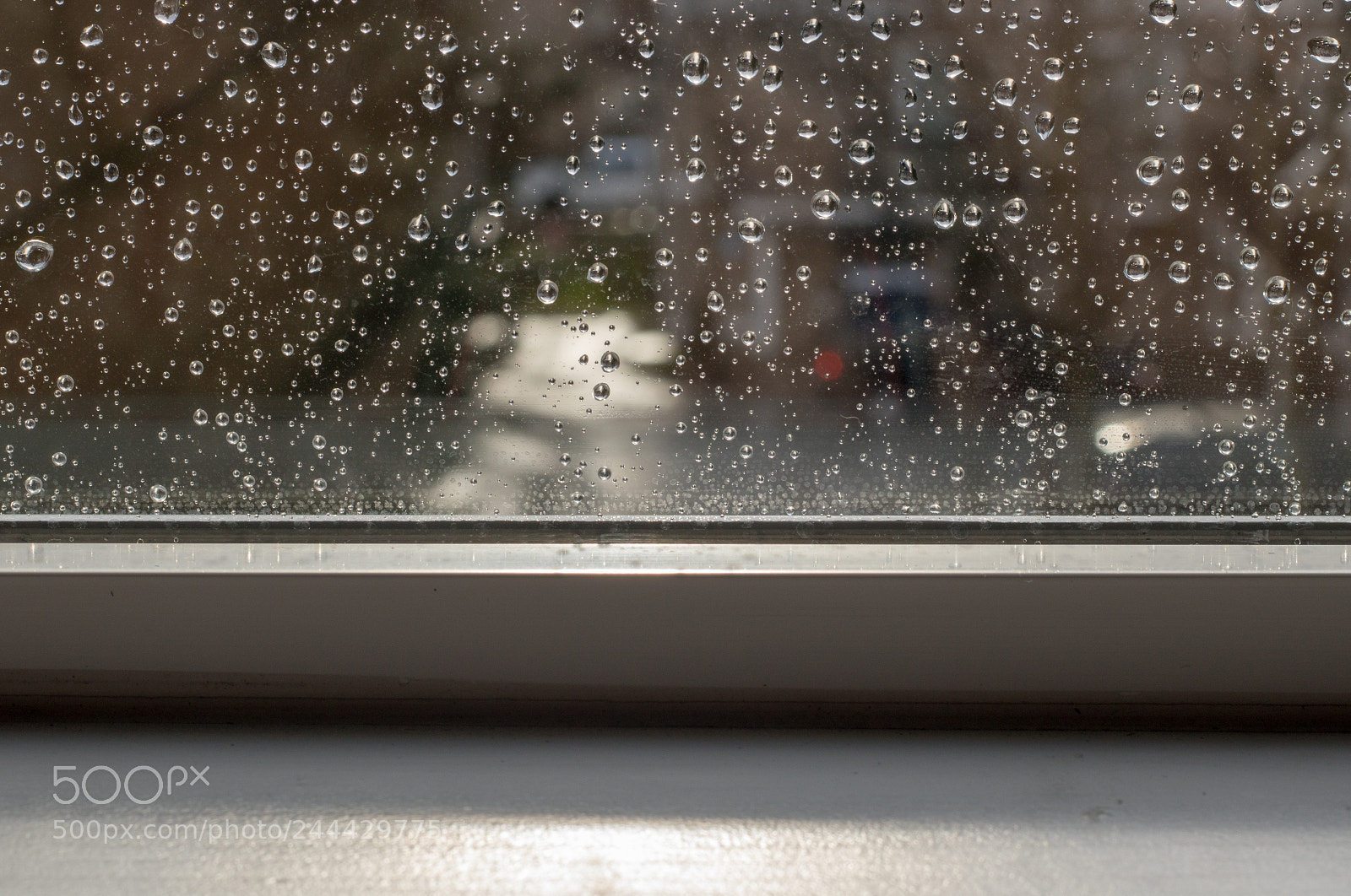Canon EOS 750D (EOS Rebel T6i / EOS Kiss X8i) sample photo. Rain photography
