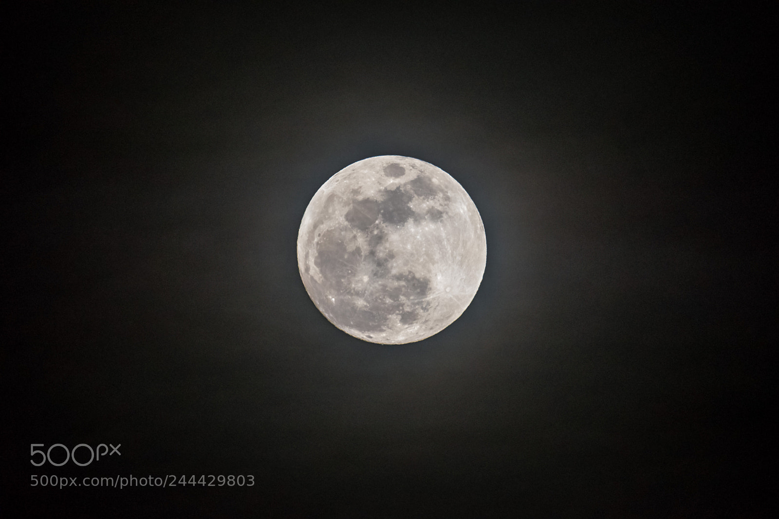 Nikon D500 sample photo. Super blue blood moon photography