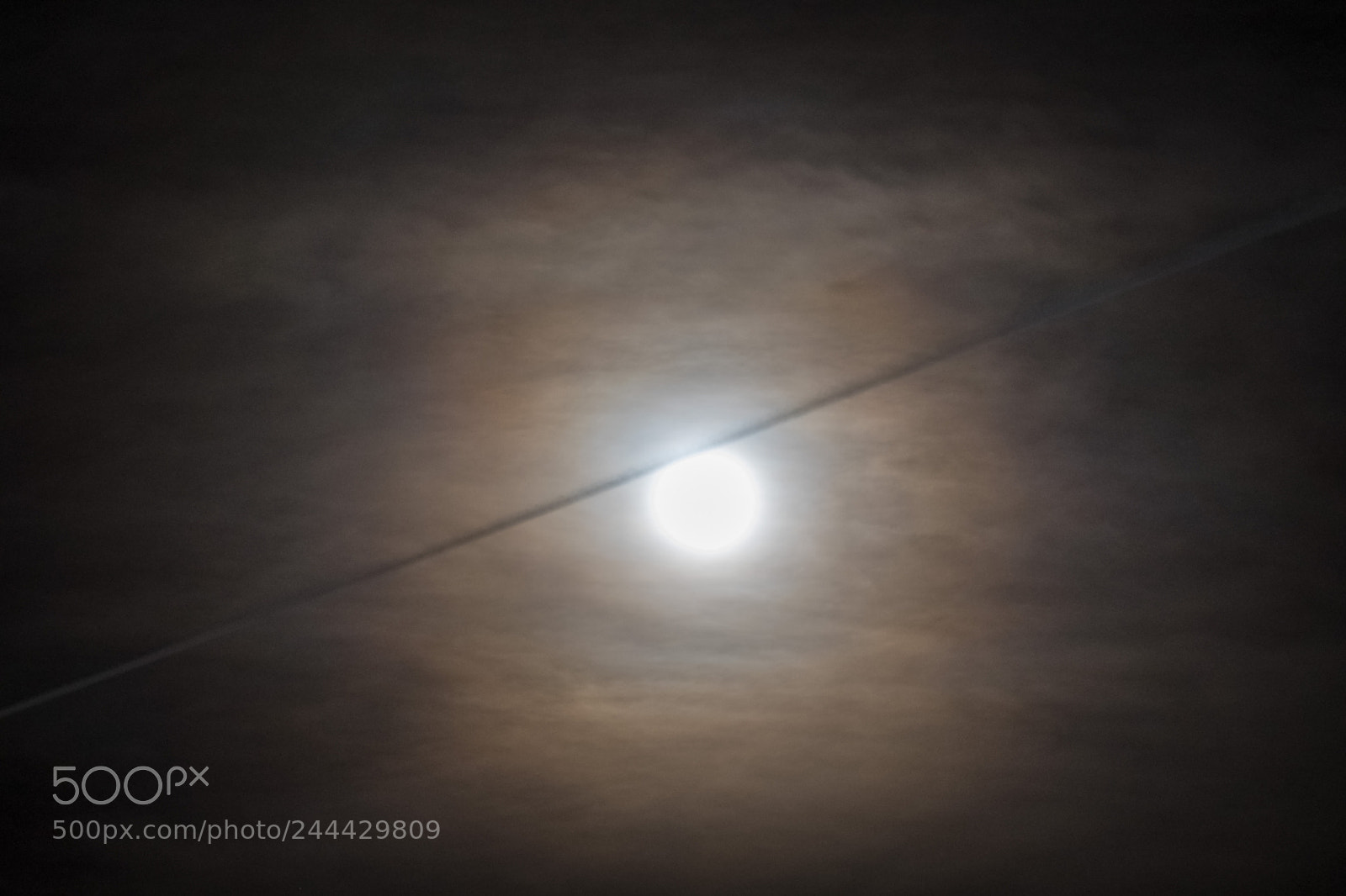 Nikon D500 sample photo. Super blue blood moon photography