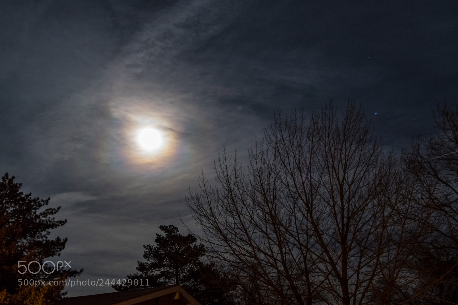 Nikon D500 sample photo. Super blue blood moon photography