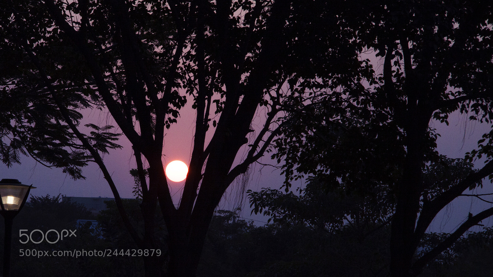 Canon EOS 50D sample photo. 留下 photography