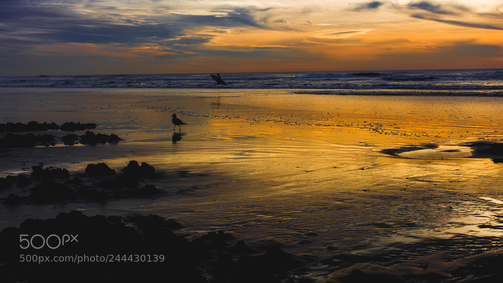 Canon EOS 5DS R sample photo. Golden reflection photography