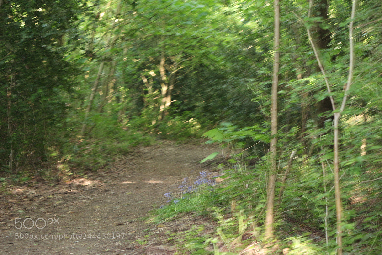 Canon EOS 650D (EOS Rebel T4i / EOS Kiss X6i) sample photo. Img photography