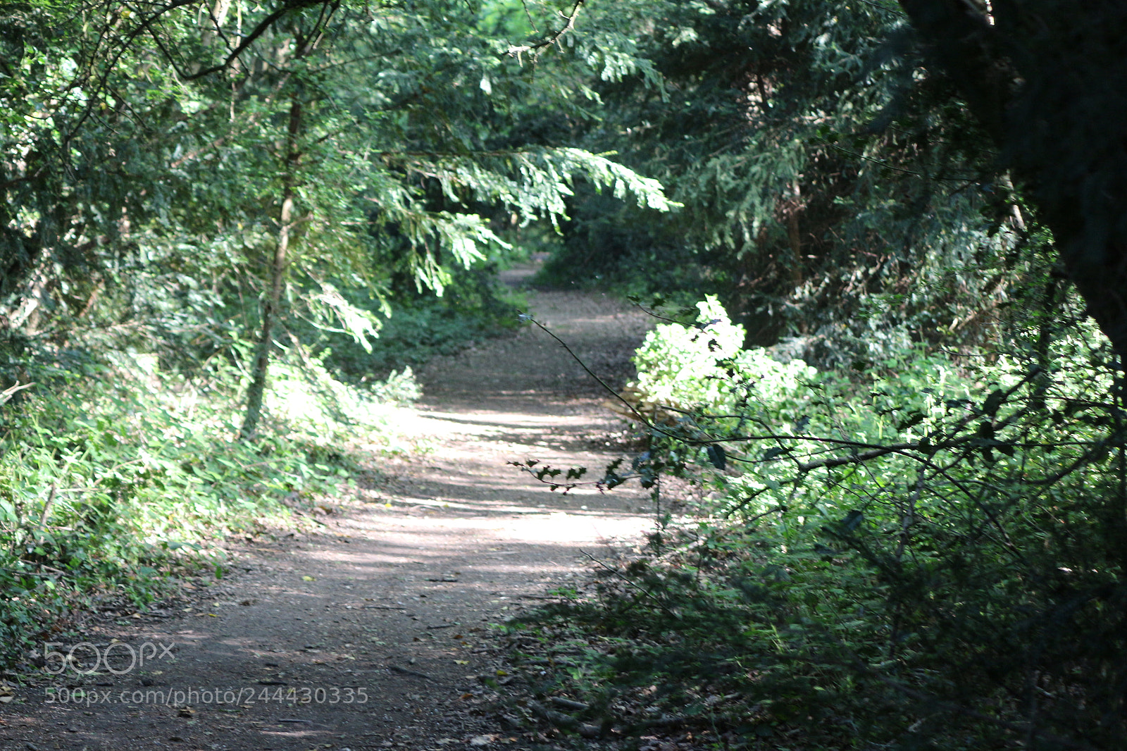 Canon EOS 650D (EOS Rebel T4i / EOS Kiss X6i) sample photo. Img photography