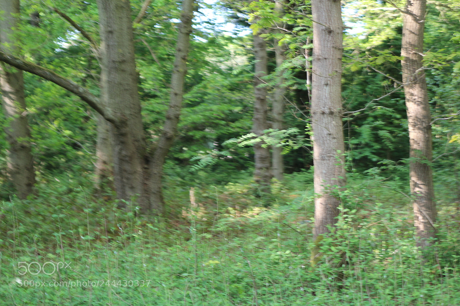 Canon EOS 650D (EOS Rebel T4i / EOS Kiss X6i) sample photo. Img photography