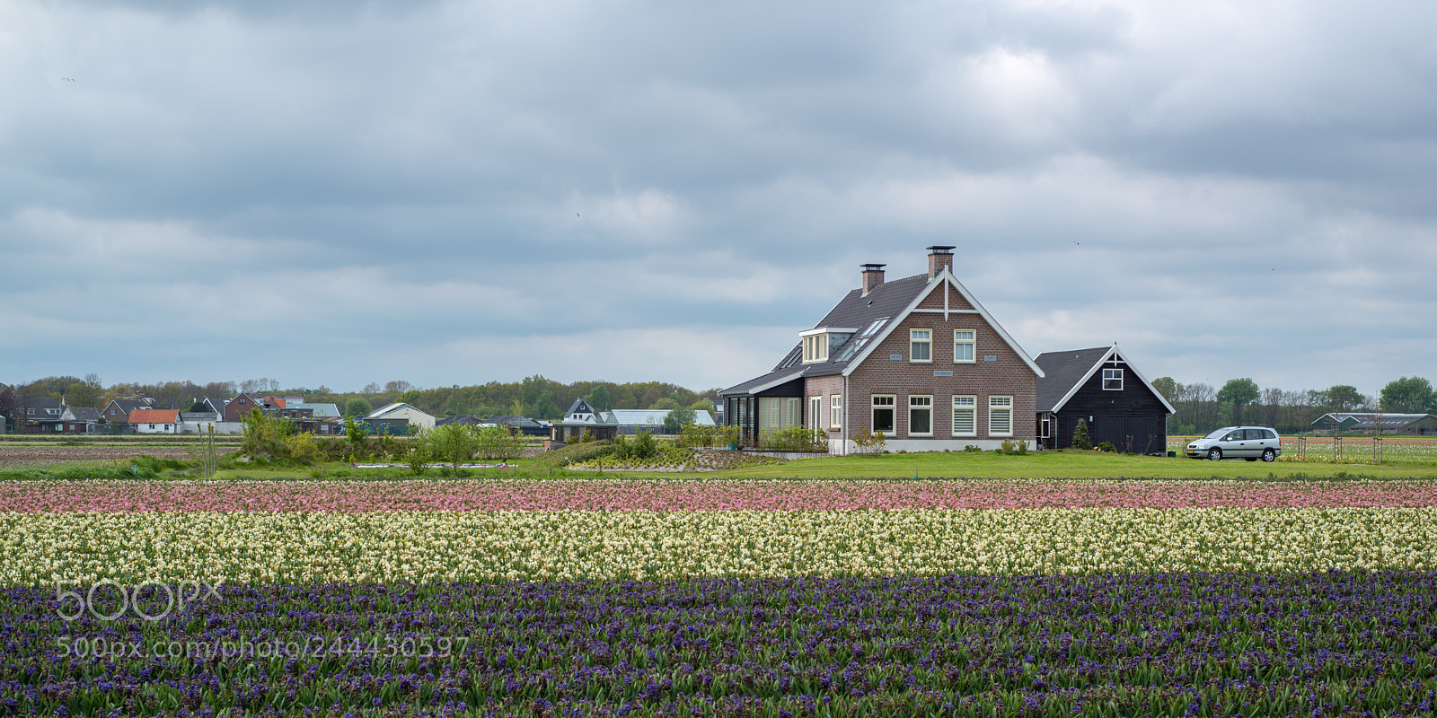 Nikon D810 sample photo. Keukenhof photography
