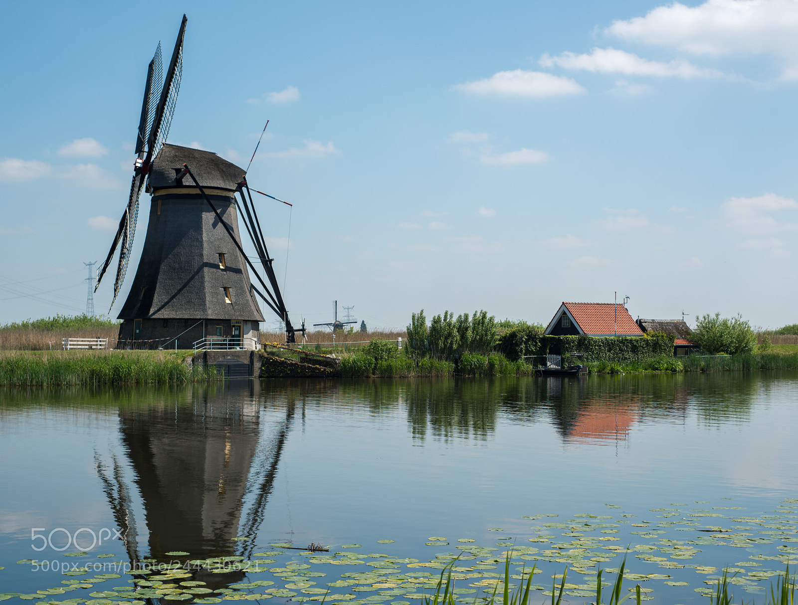Nikon D810 sample photo. Kinderdijk photography