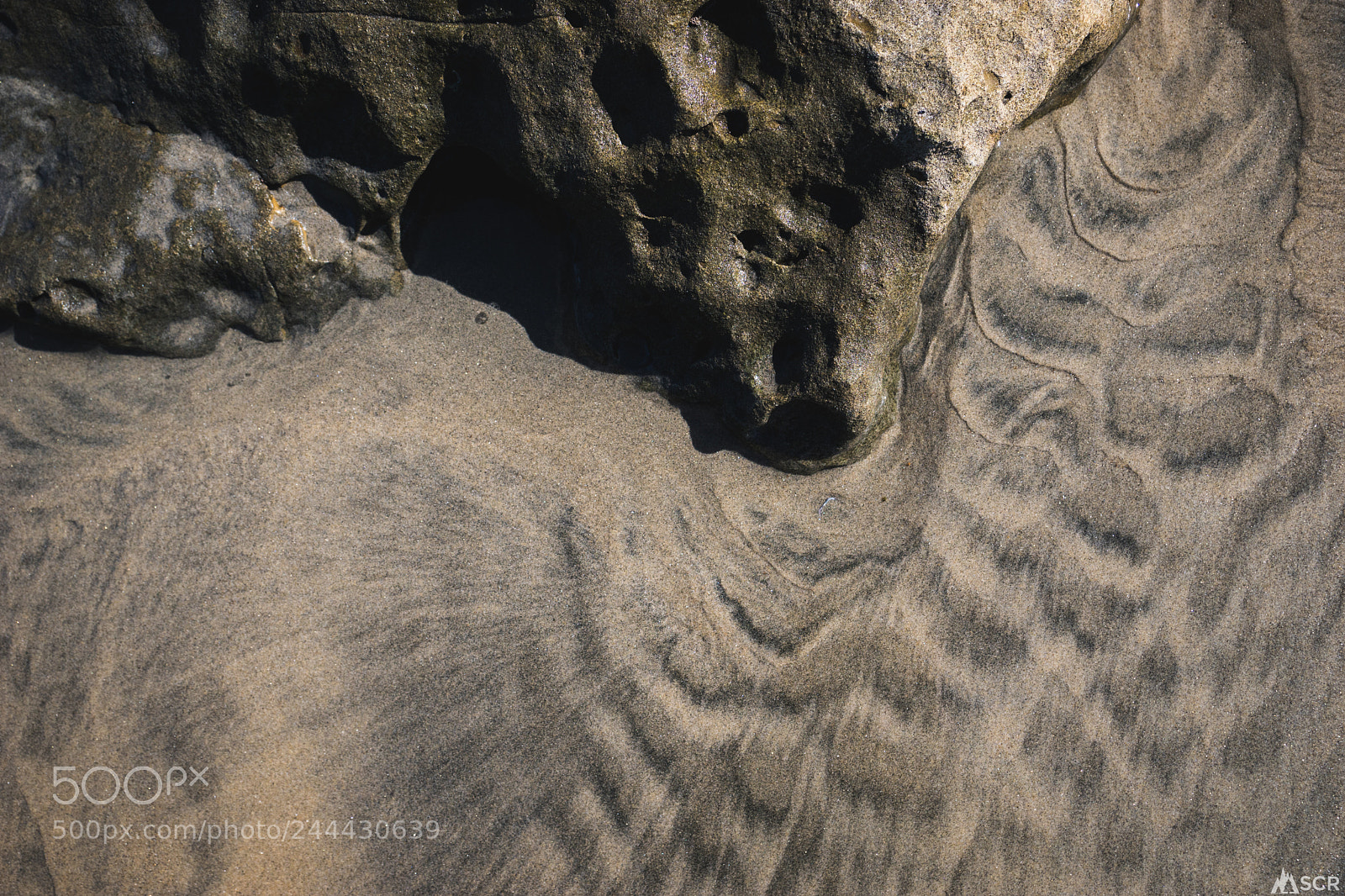 Sony ILCA-77M2 sample photo. Scripps beach photography