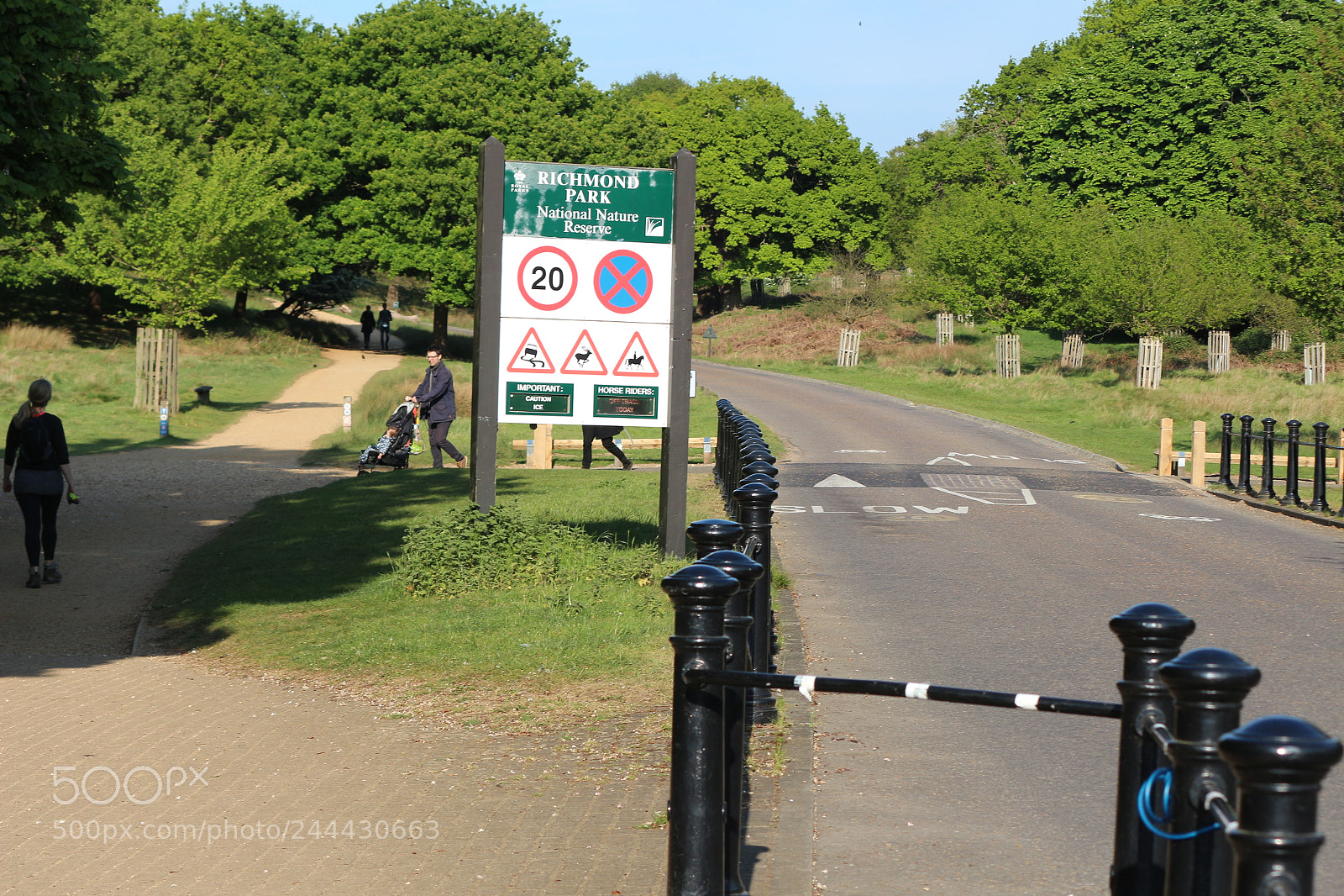 Canon EOS 650D (EOS Rebel T4i / EOS Kiss X6i) sample photo. Img photography