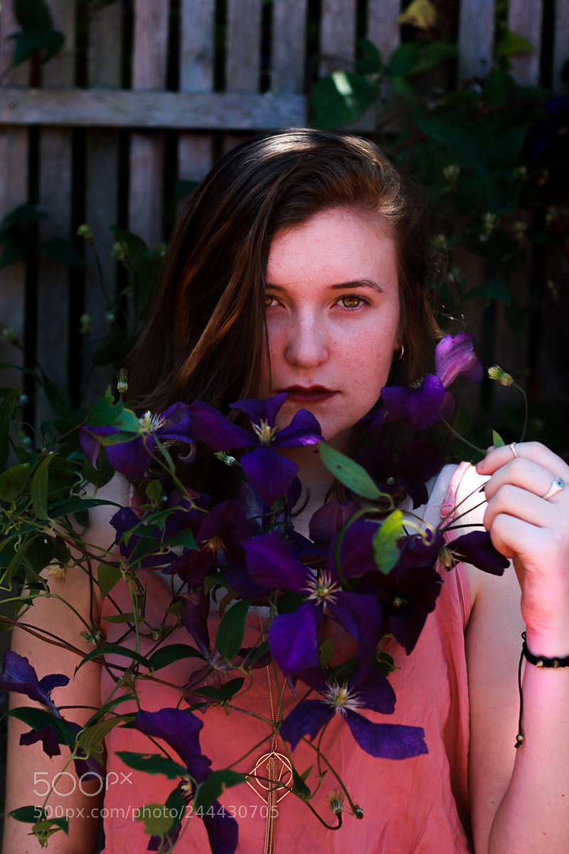 Canon EOS 60D sample photo. Purple flowers photography