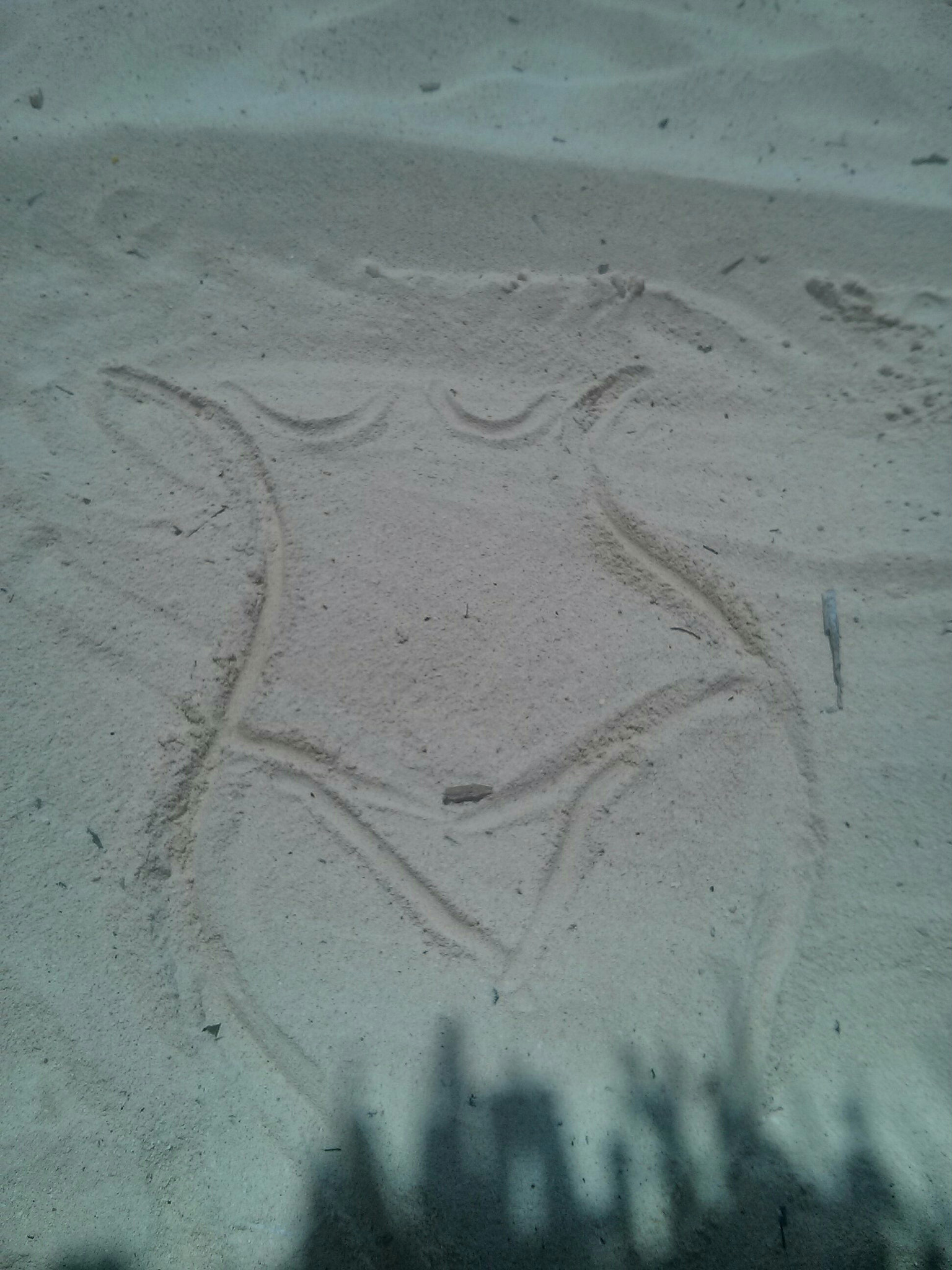LG Nexus 4 sample photo. The sand-girl photography