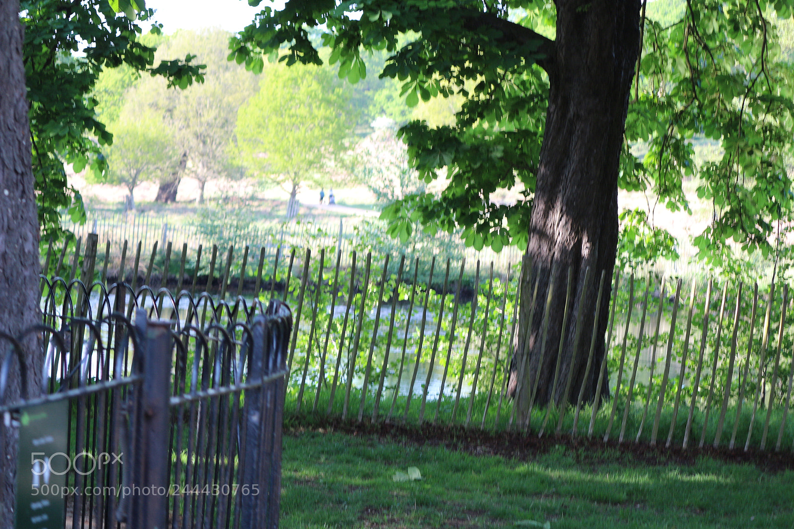 Canon EOS 650D (EOS Rebel T4i / EOS Kiss X6i) sample photo. Img photography
