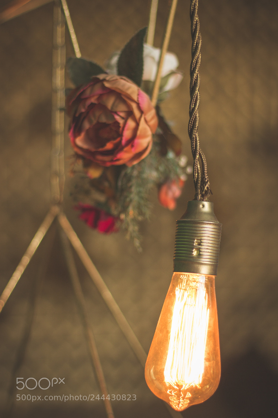 Canon EOS 60D sample photo. Untitled photography
