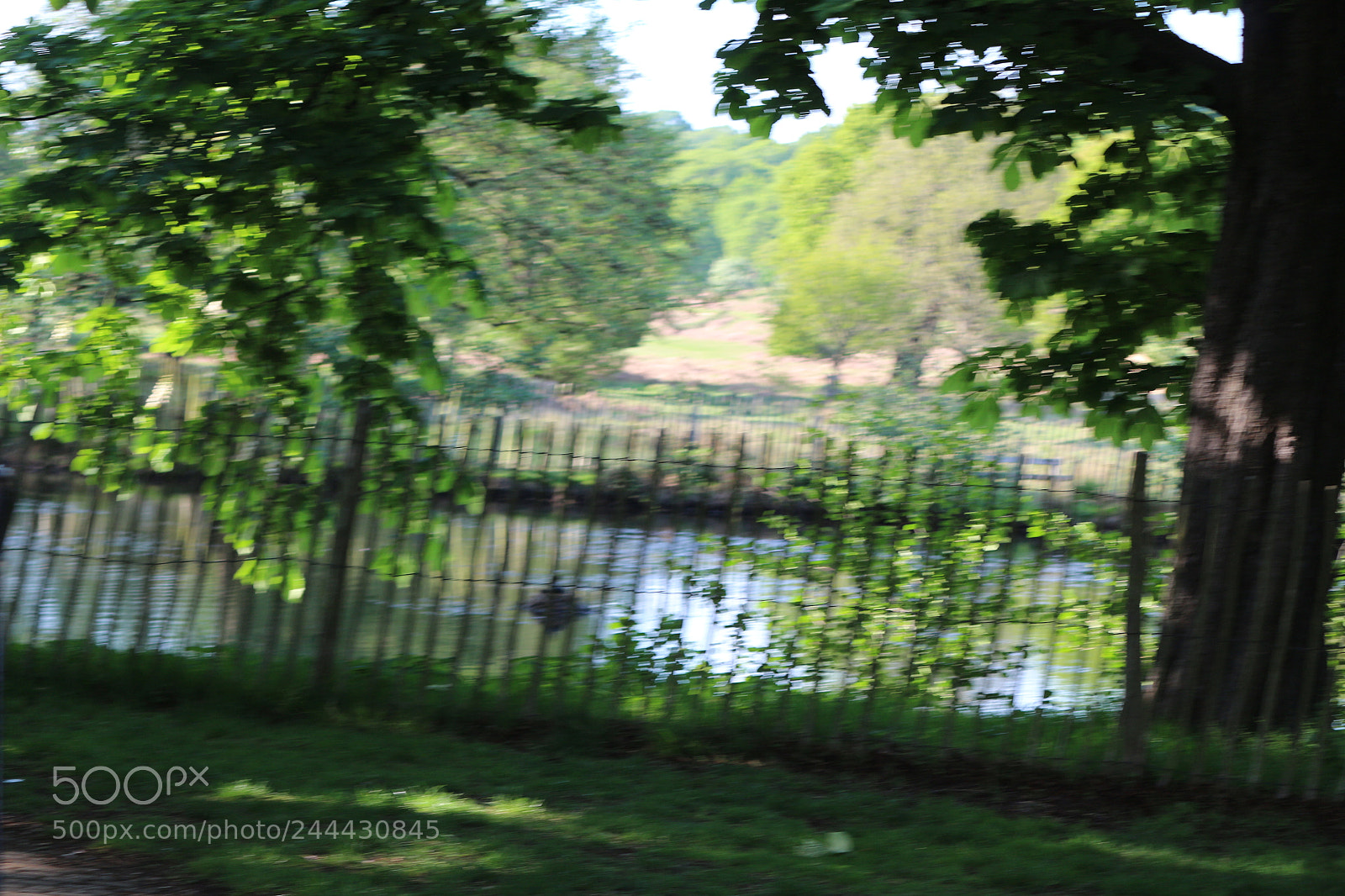 Canon EOS 650D (EOS Rebel T4i / EOS Kiss X6i) sample photo. Img photography