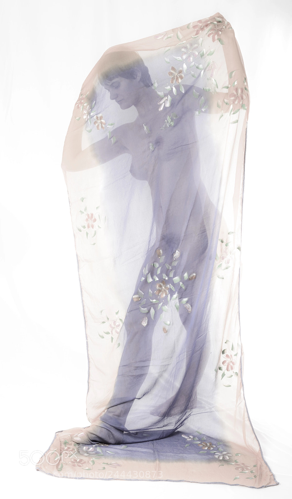 Nikon D800 sample photo. Veiled photography