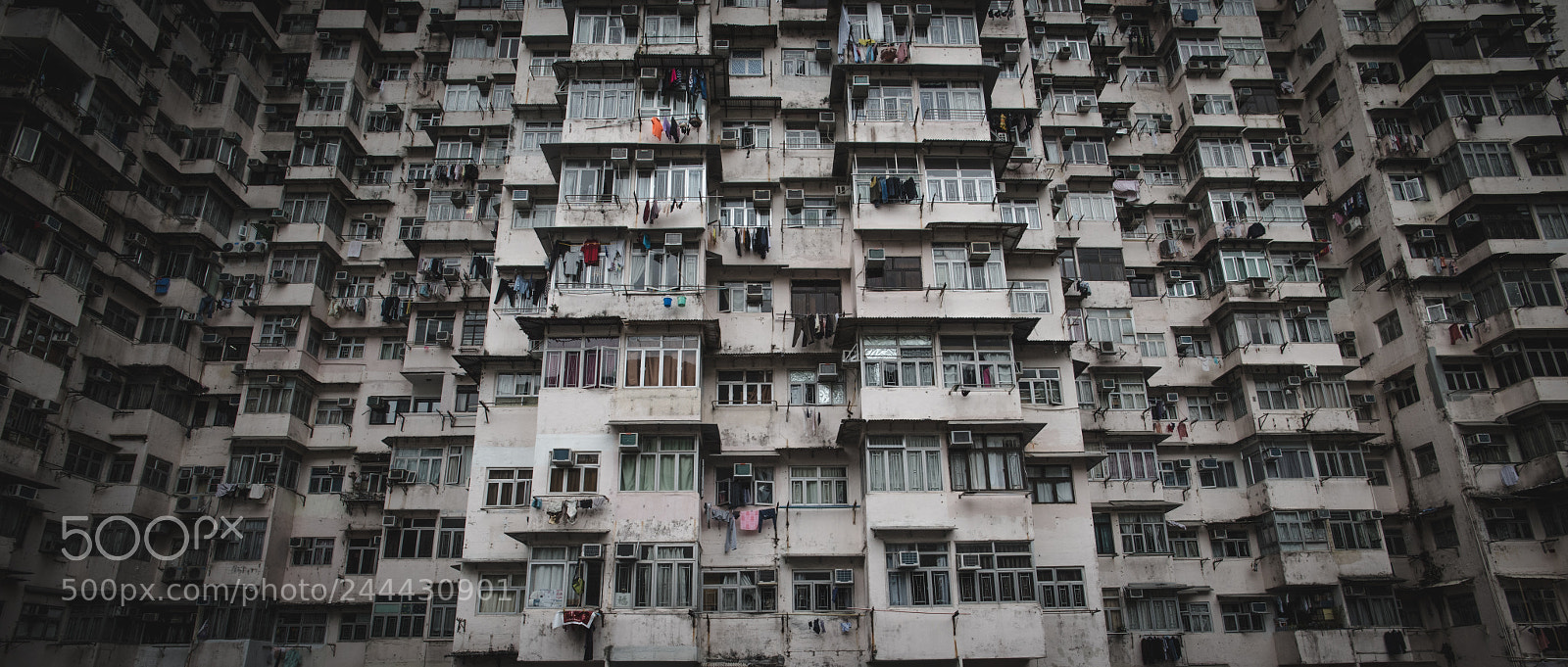 Nikon D810 sample photo. Hong kong photography