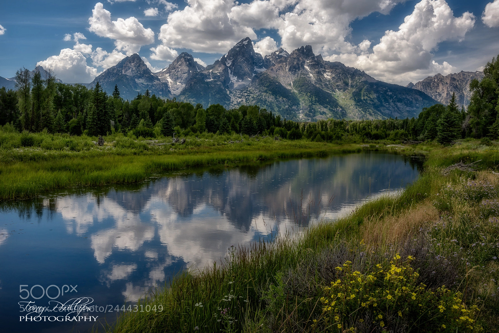 Nikon D810 sample photo. Schwabacher landing photography