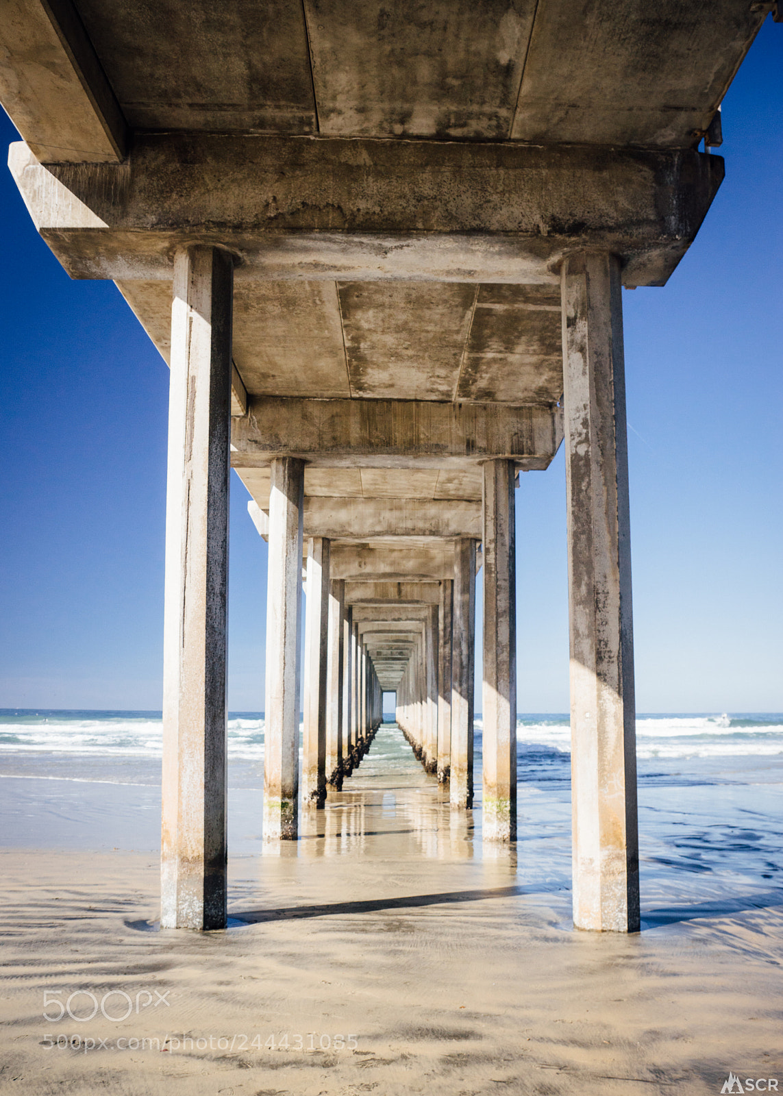 Sony ILCA-77M2 sample photo. Scripps pier photography