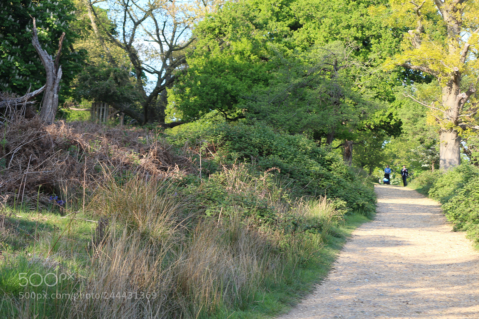 Canon EOS 650D (EOS Rebel T4i / EOS Kiss X6i) sample photo. Img photography