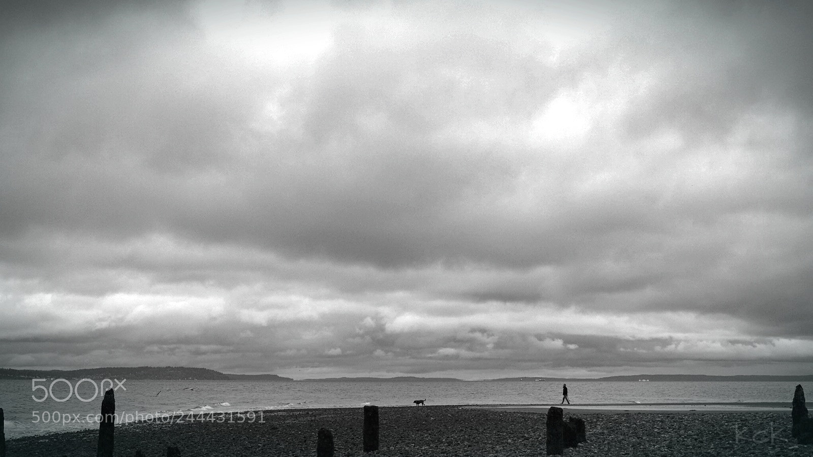 Olympus OM-D E-M10 II sample photo. Northwest life. photography