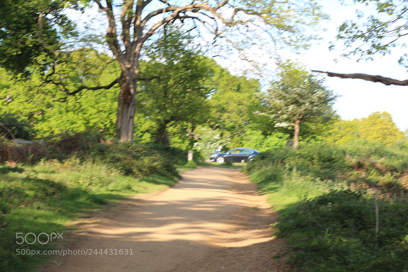 Canon EOS 650D (EOS Rebel T4i / EOS Kiss X6i) sample photo. Img photography