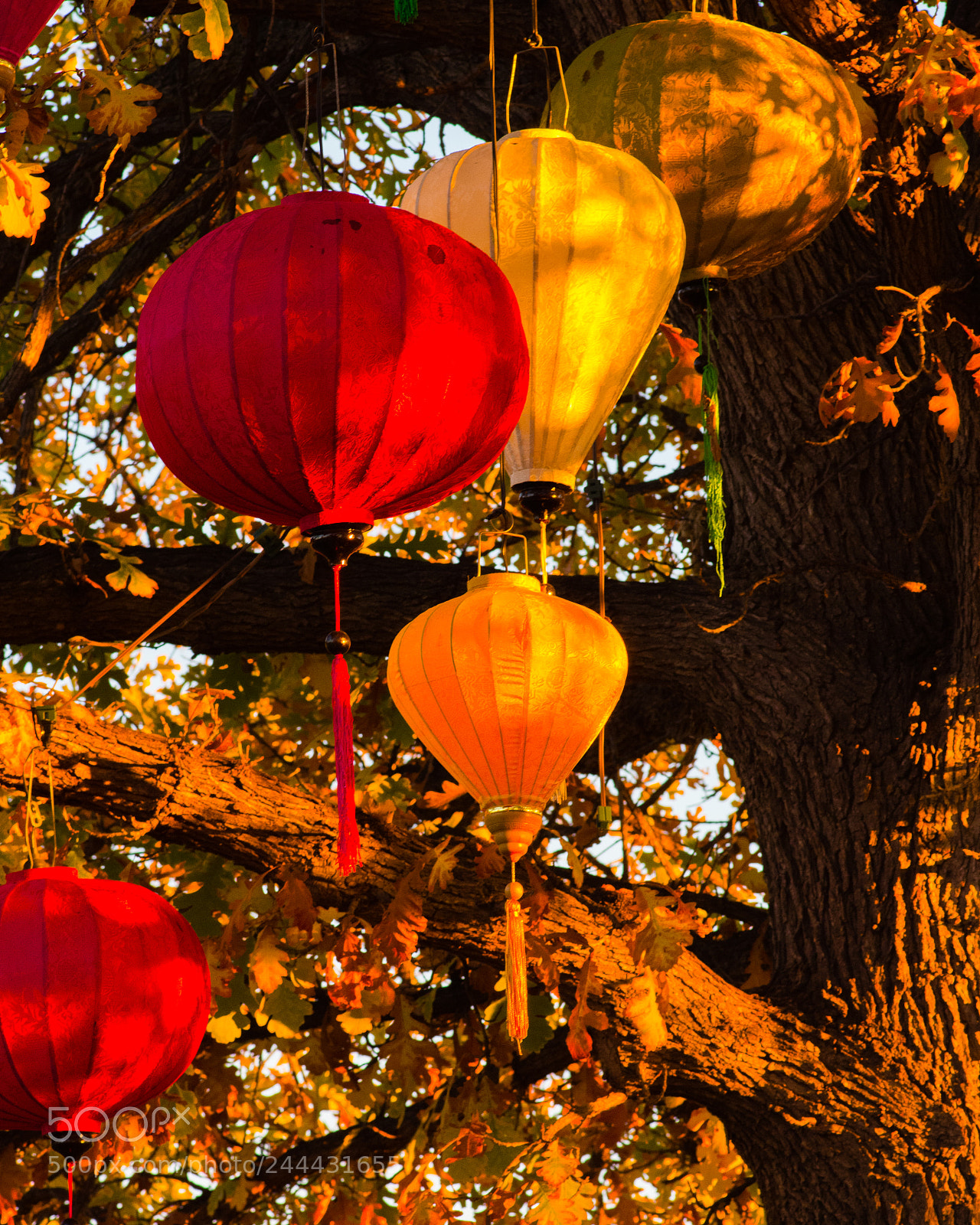 Canon EOS 60D sample photo. Chinese lanterns in the photography