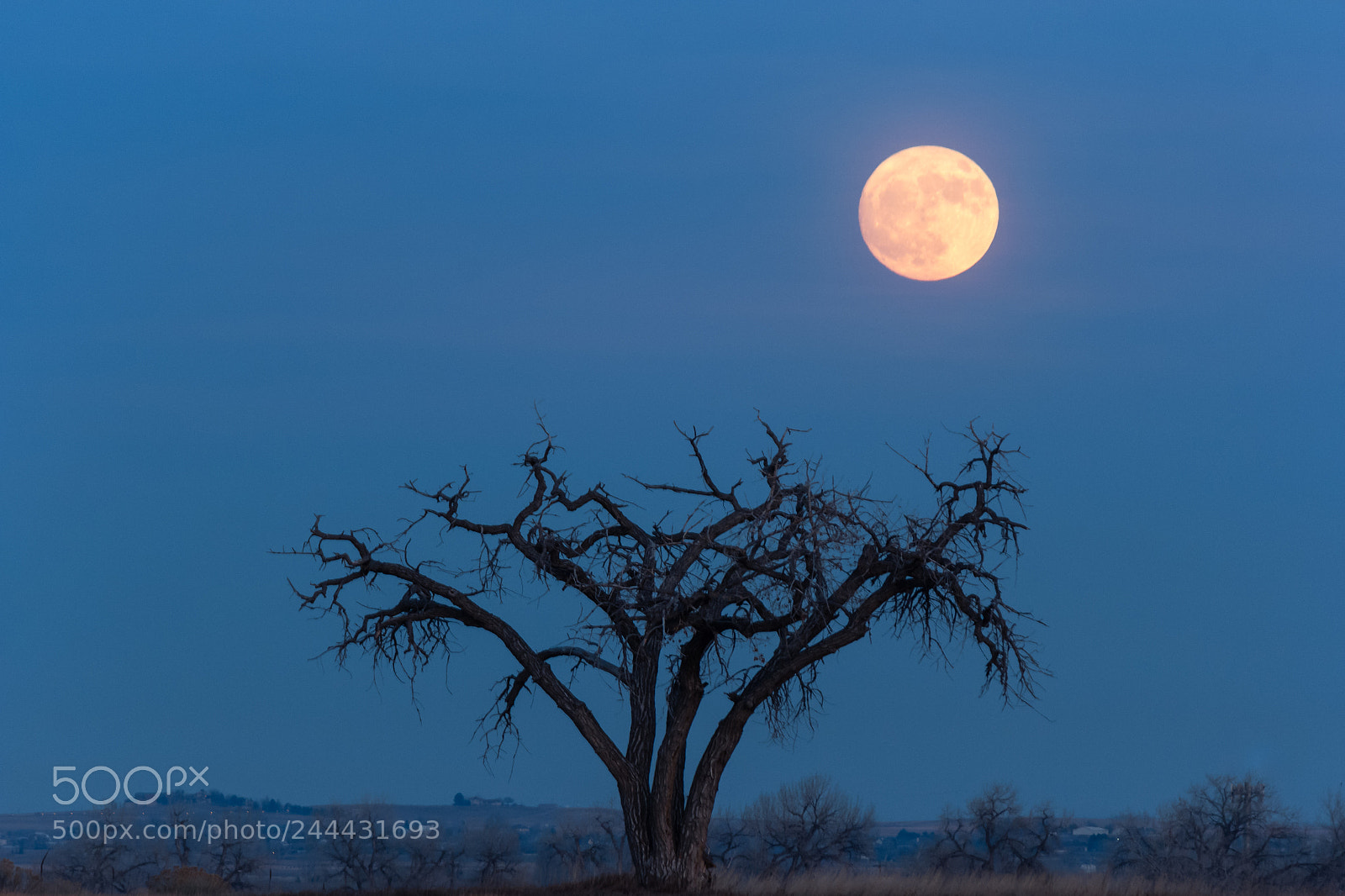 Canon EOS 60D sample photo. Full moon with a photography