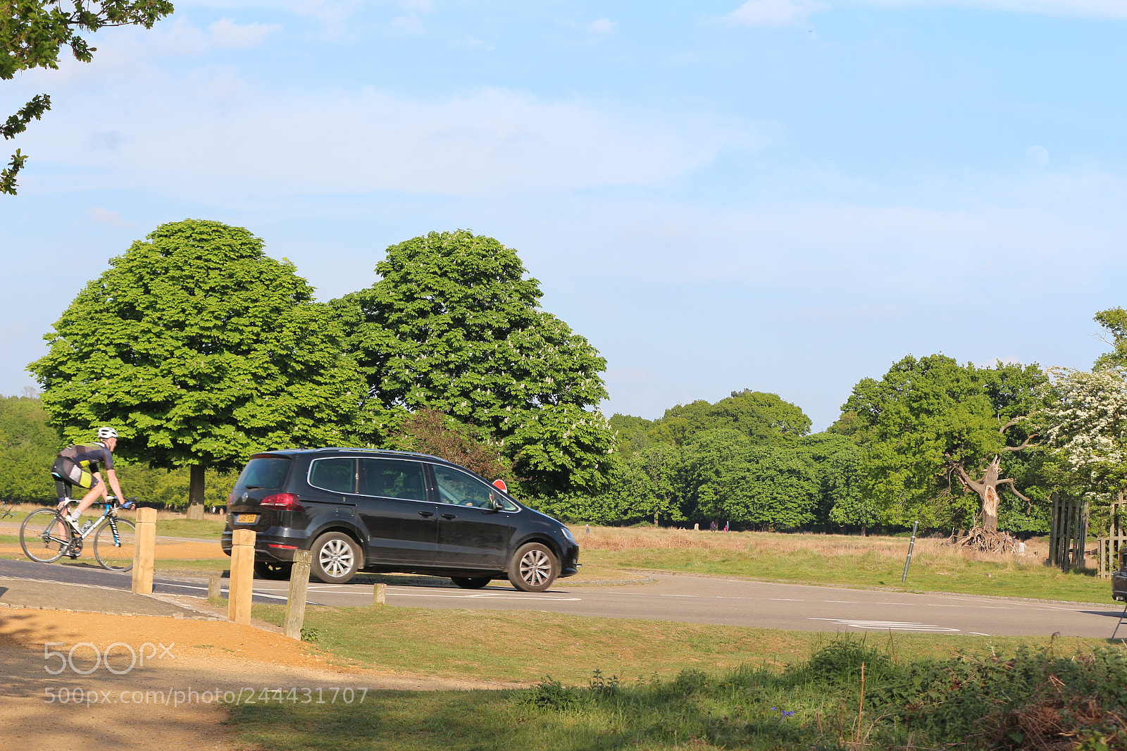 Canon EOS 650D (EOS Rebel T4i / EOS Kiss X6i) sample photo. Img photography