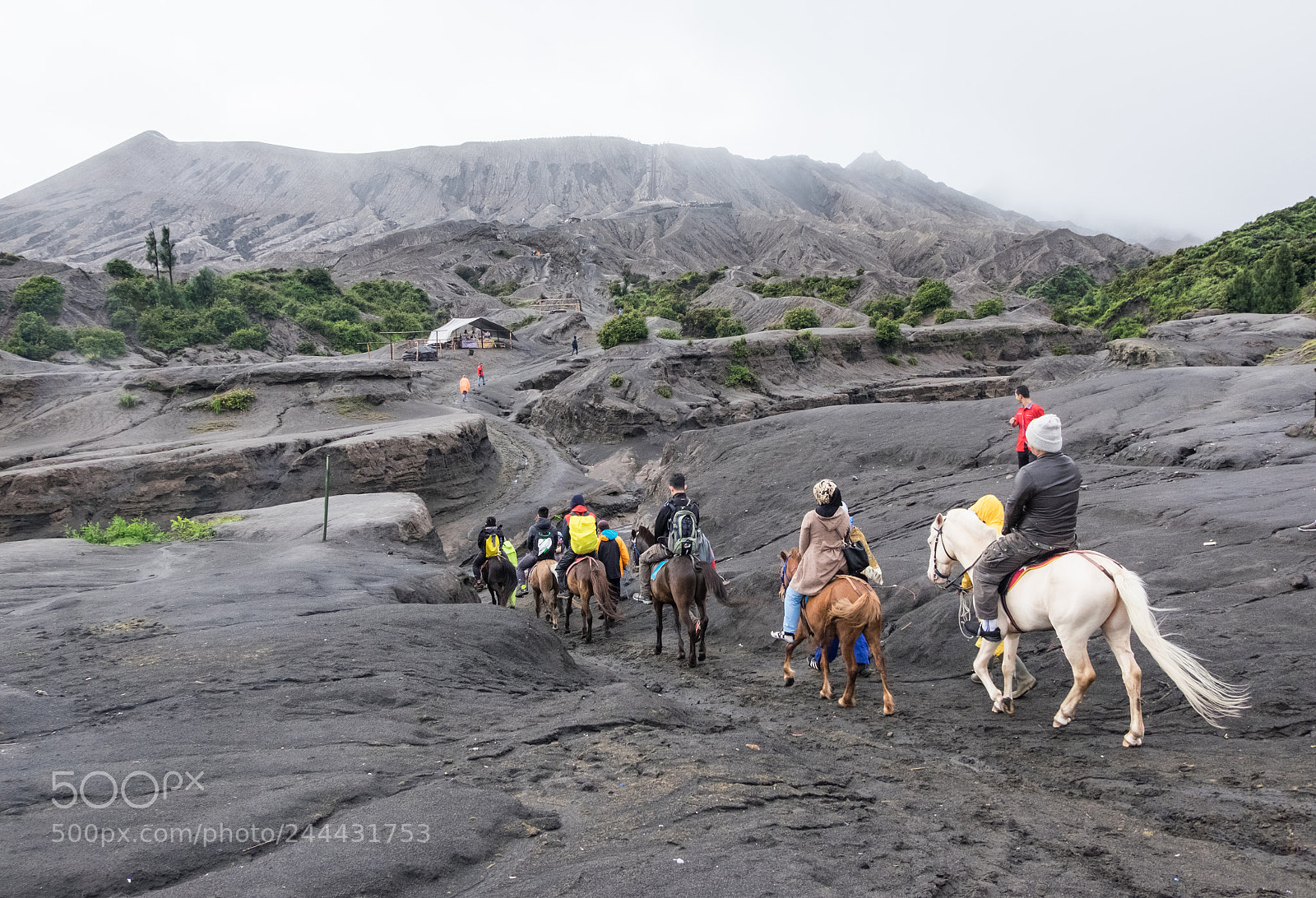 Fujifilm X-T10 sample photo. _dsf4250-3.jpg photography