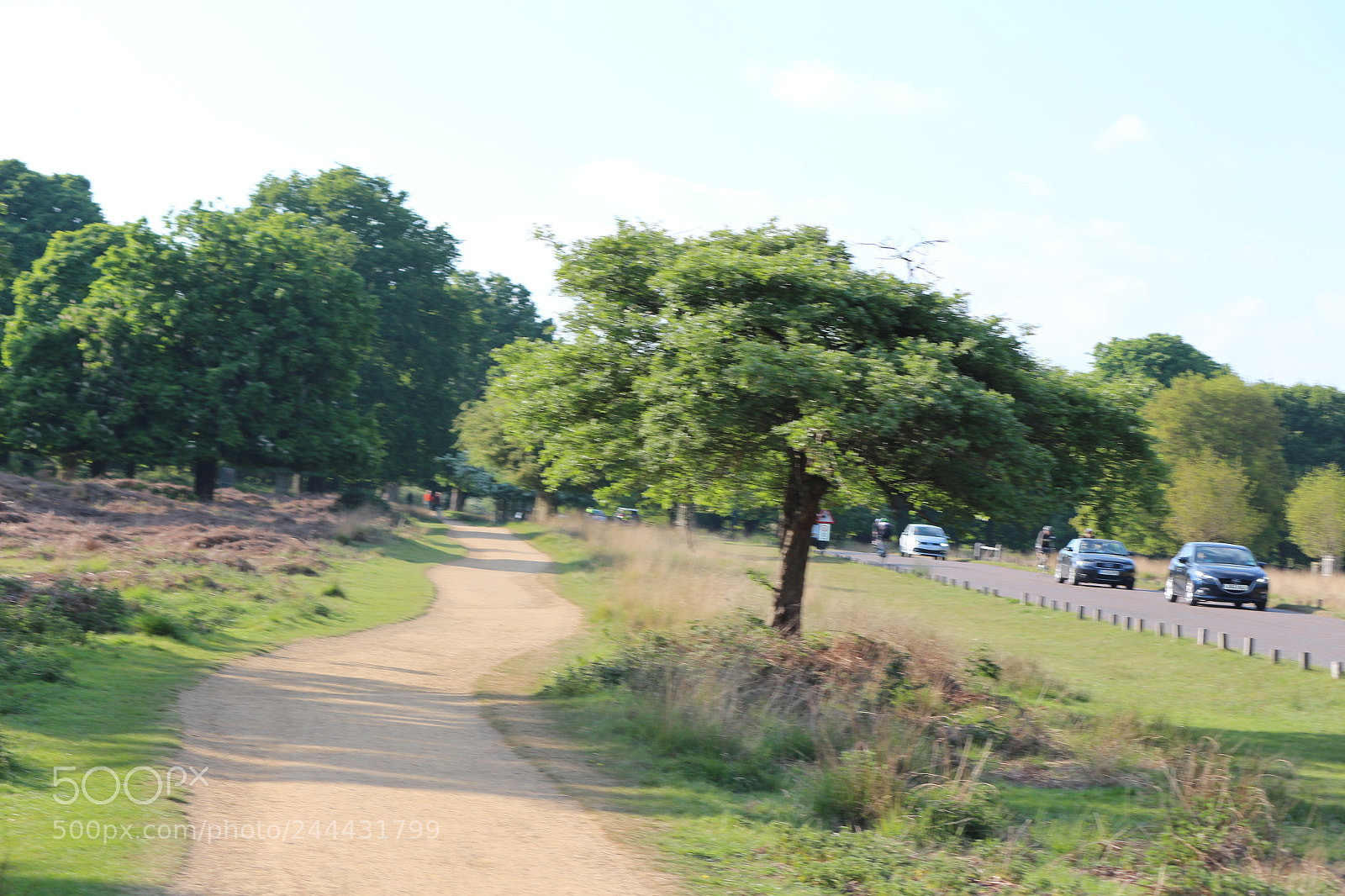 Canon EOS 650D (EOS Rebel T4i / EOS Kiss X6i) sample photo. Img photography