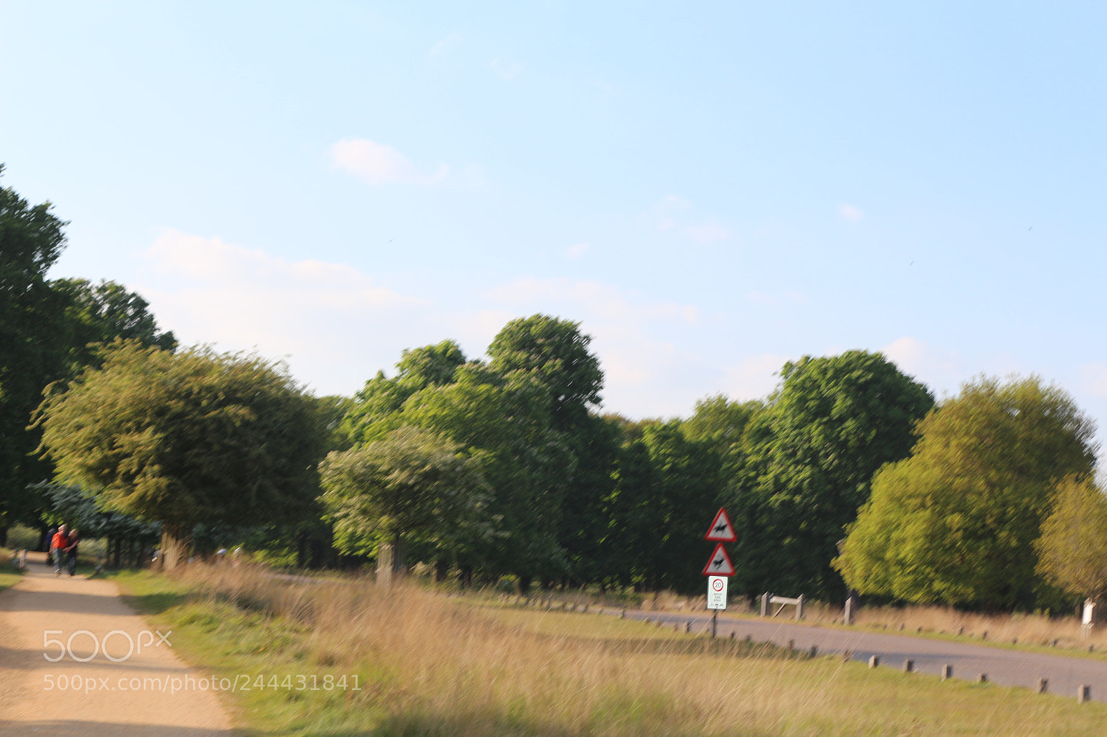Canon EOS 650D (EOS Rebel T4i / EOS Kiss X6i) sample photo. Img photography