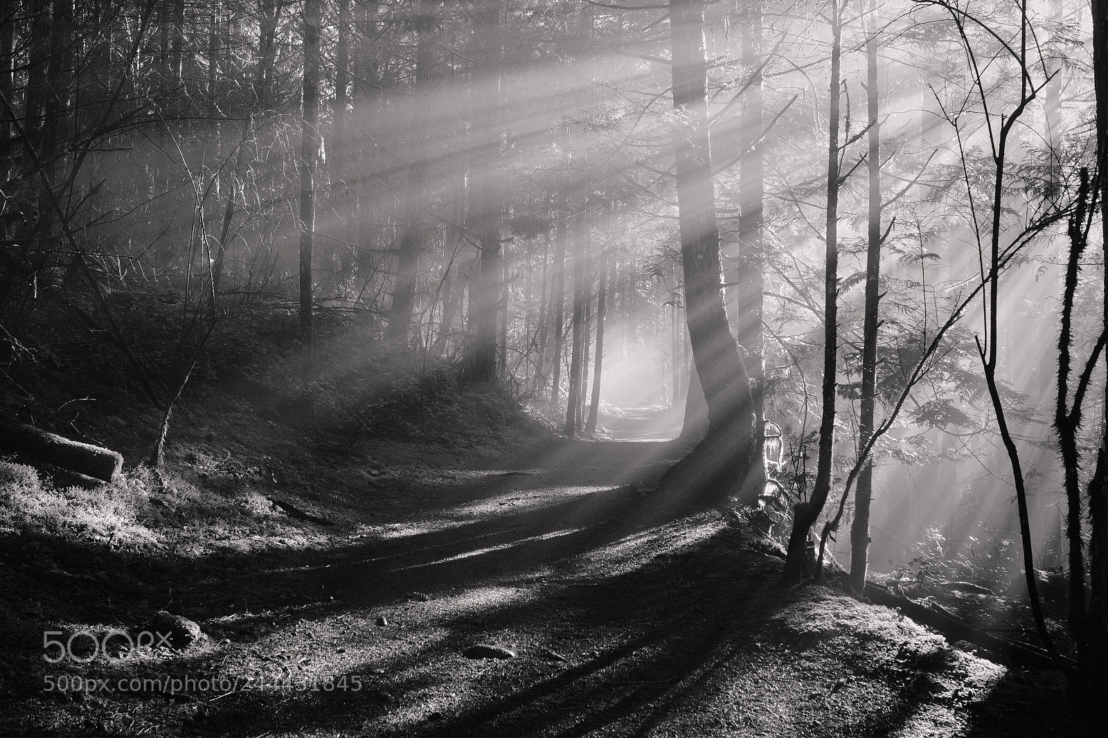 Fujifilm X-T20 sample photo. Rays of light photography