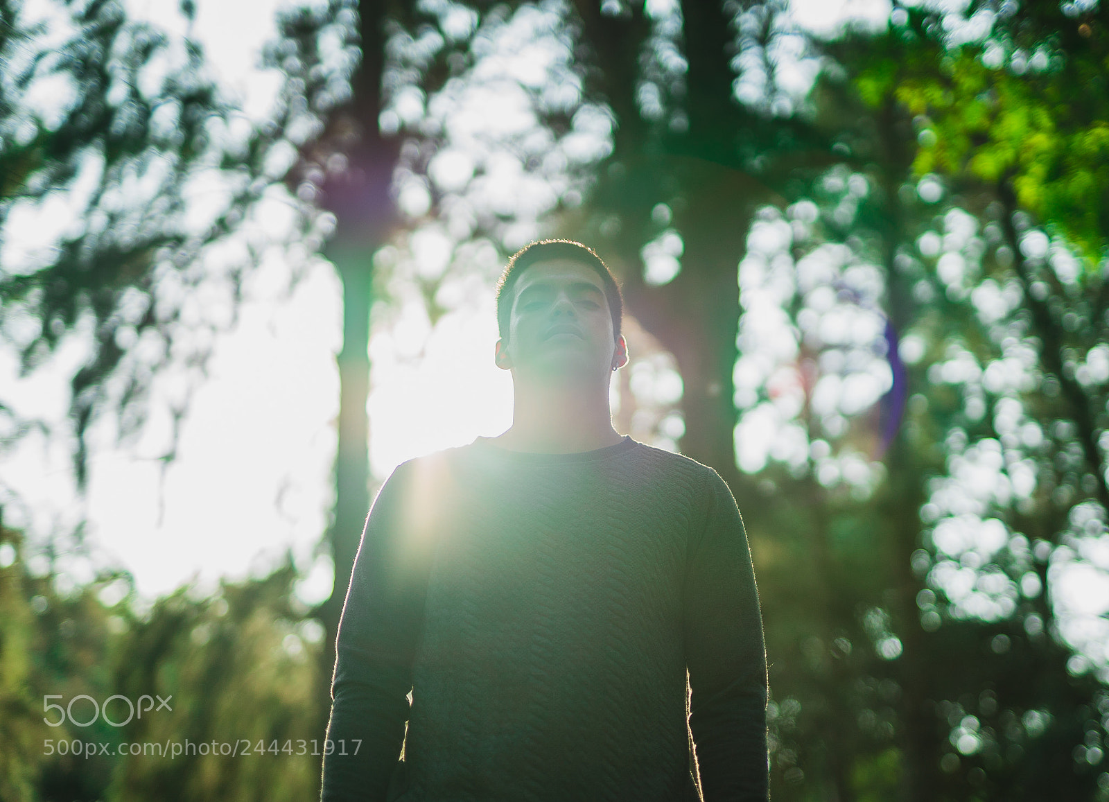 Sony a7S II sample photo. Carlos photography