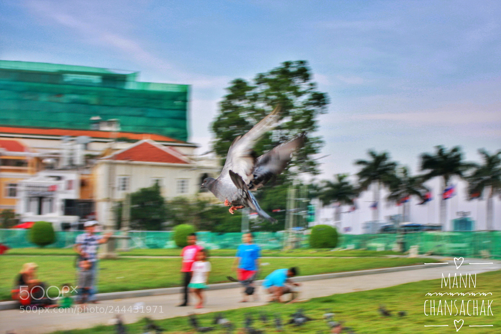 Canon EOS 40D sample photo. What's do you see?! photography