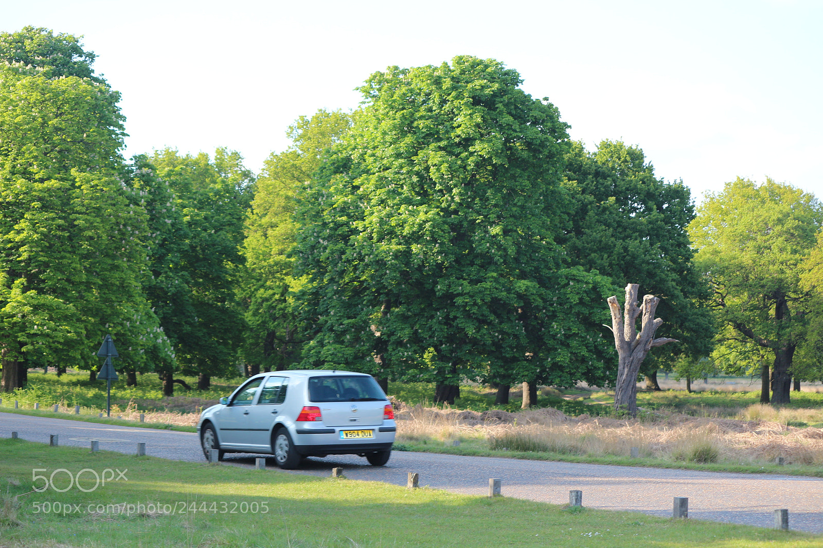 Canon EOS 650D (EOS Rebel T4i / EOS Kiss X6i) sample photo. Img photography