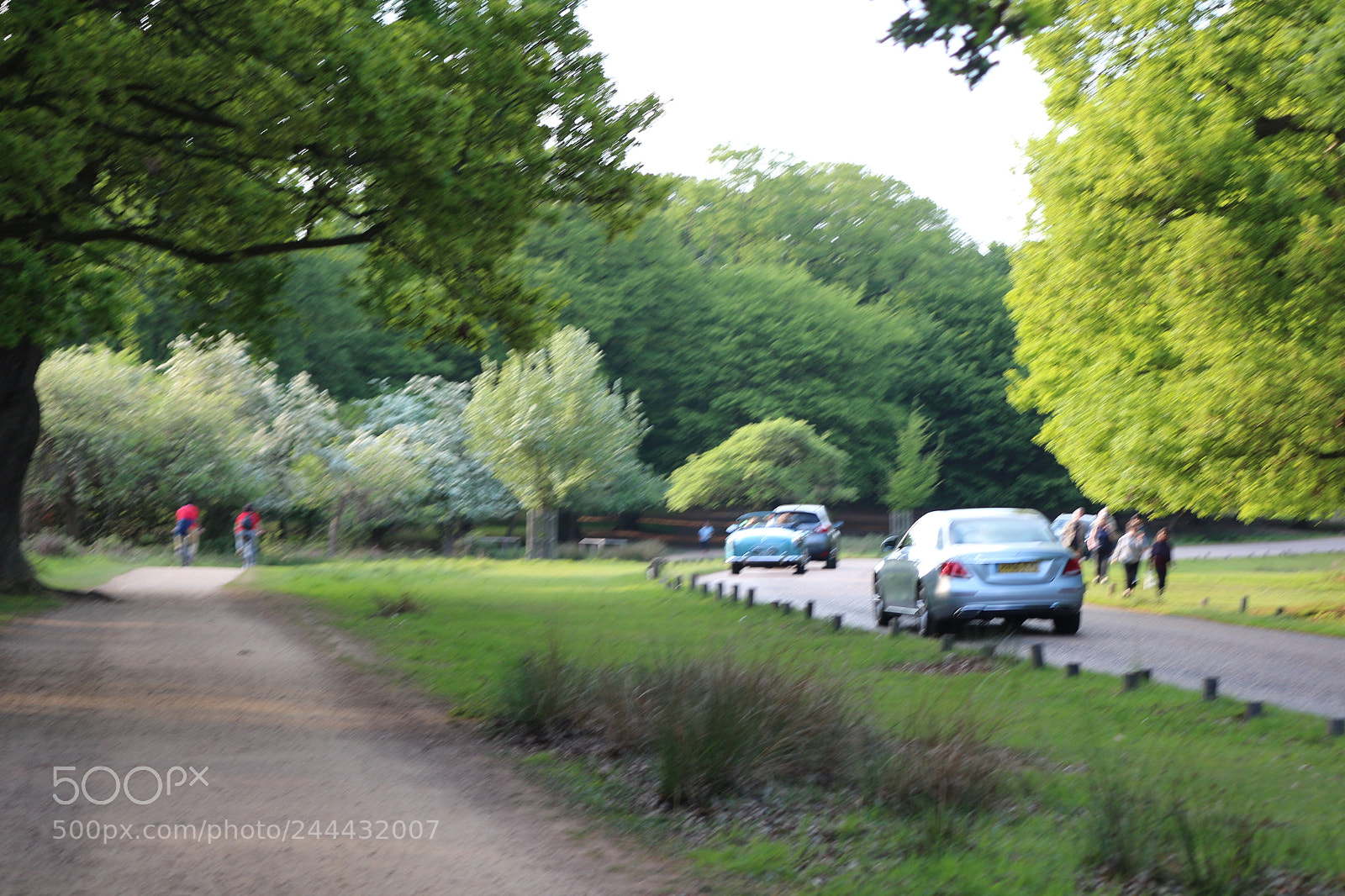 Canon EOS 650D (EOS Rebel T4i / EOS Kiss X6i) sample photo. Img photography