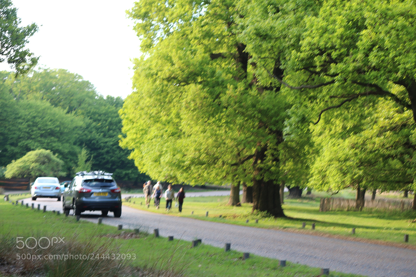 Canon EOS 650D (EOS Rebel T4i / EOS Kiss X6i) sample photo. Img photography