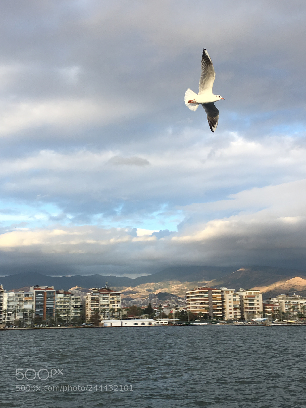 Apple iPhone 6s sample photo. Untitled photography