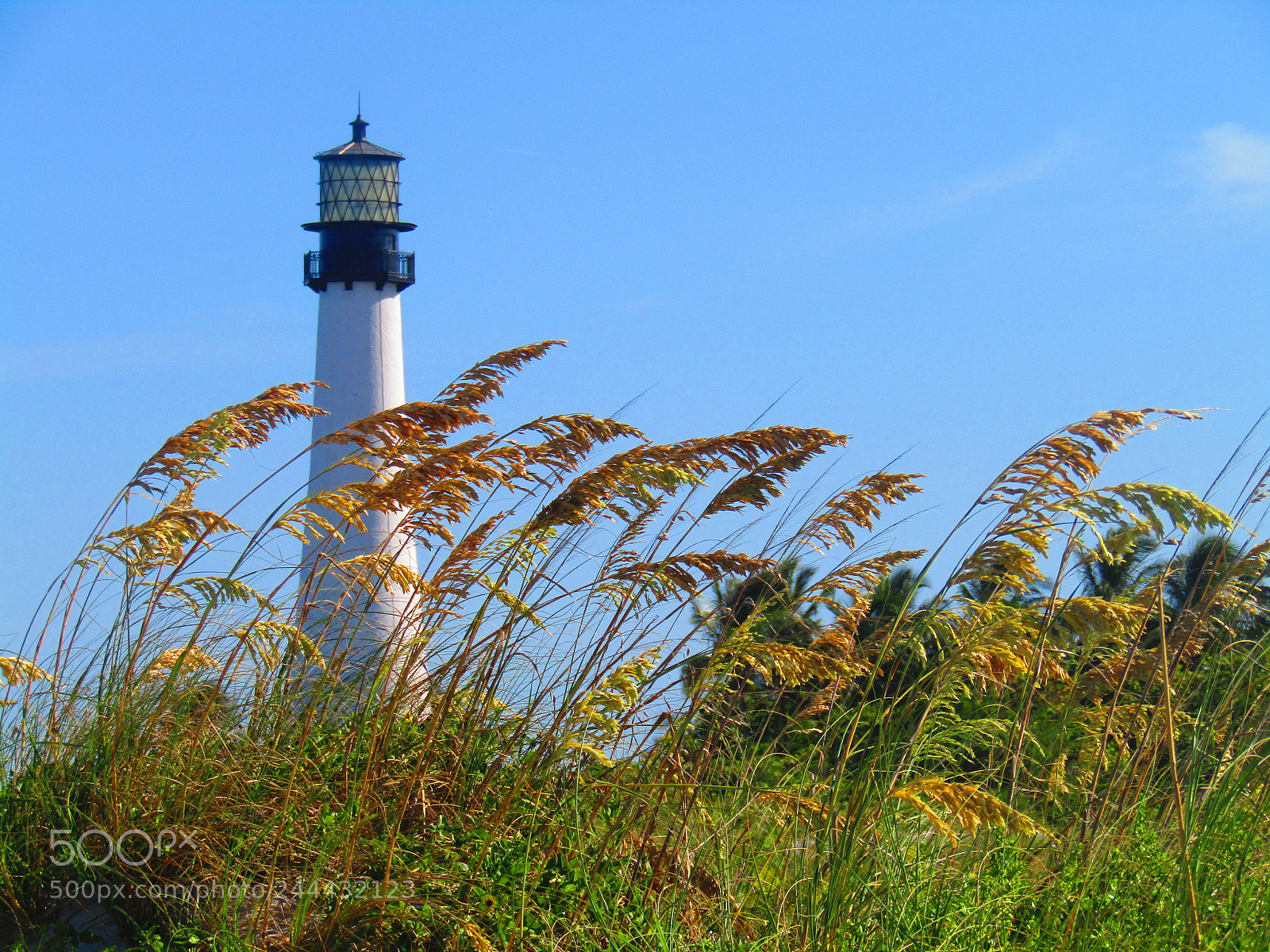 Canon PowerShot SX420 IS sample photo. Cape florida lighthouse photography