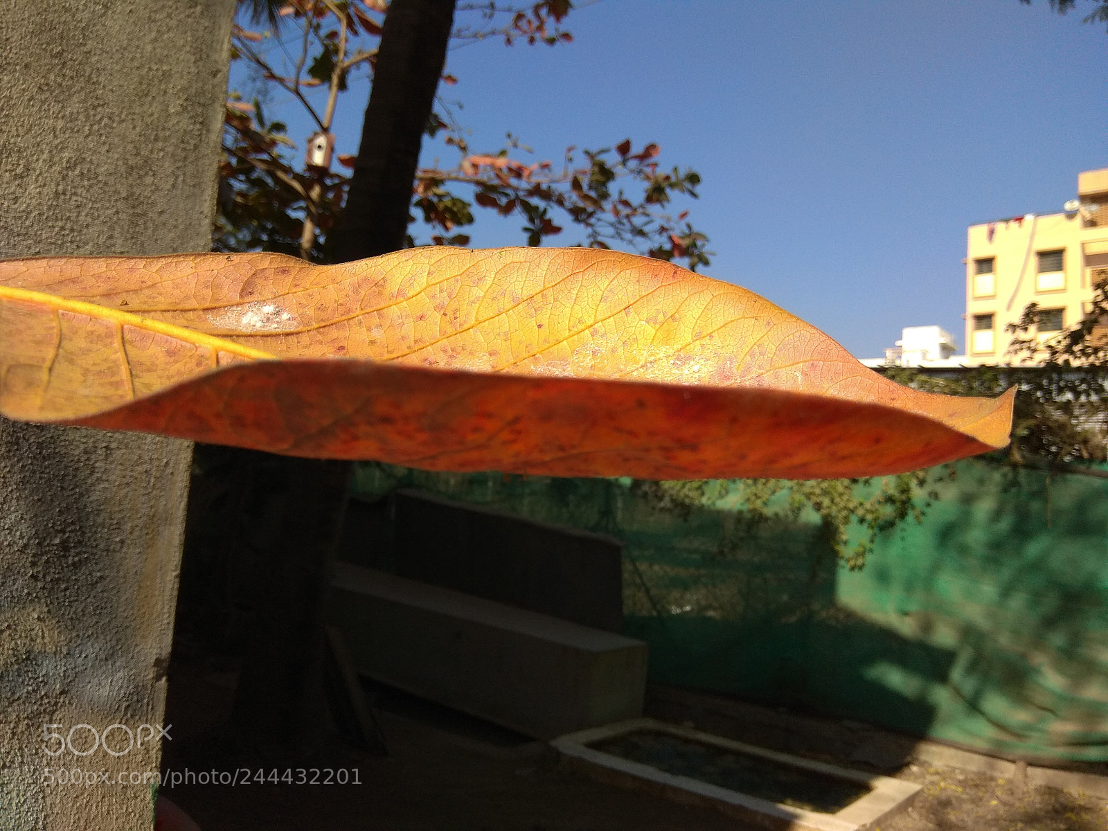 Xiaomi Redmi Note 4 sample photo. Untitled photography