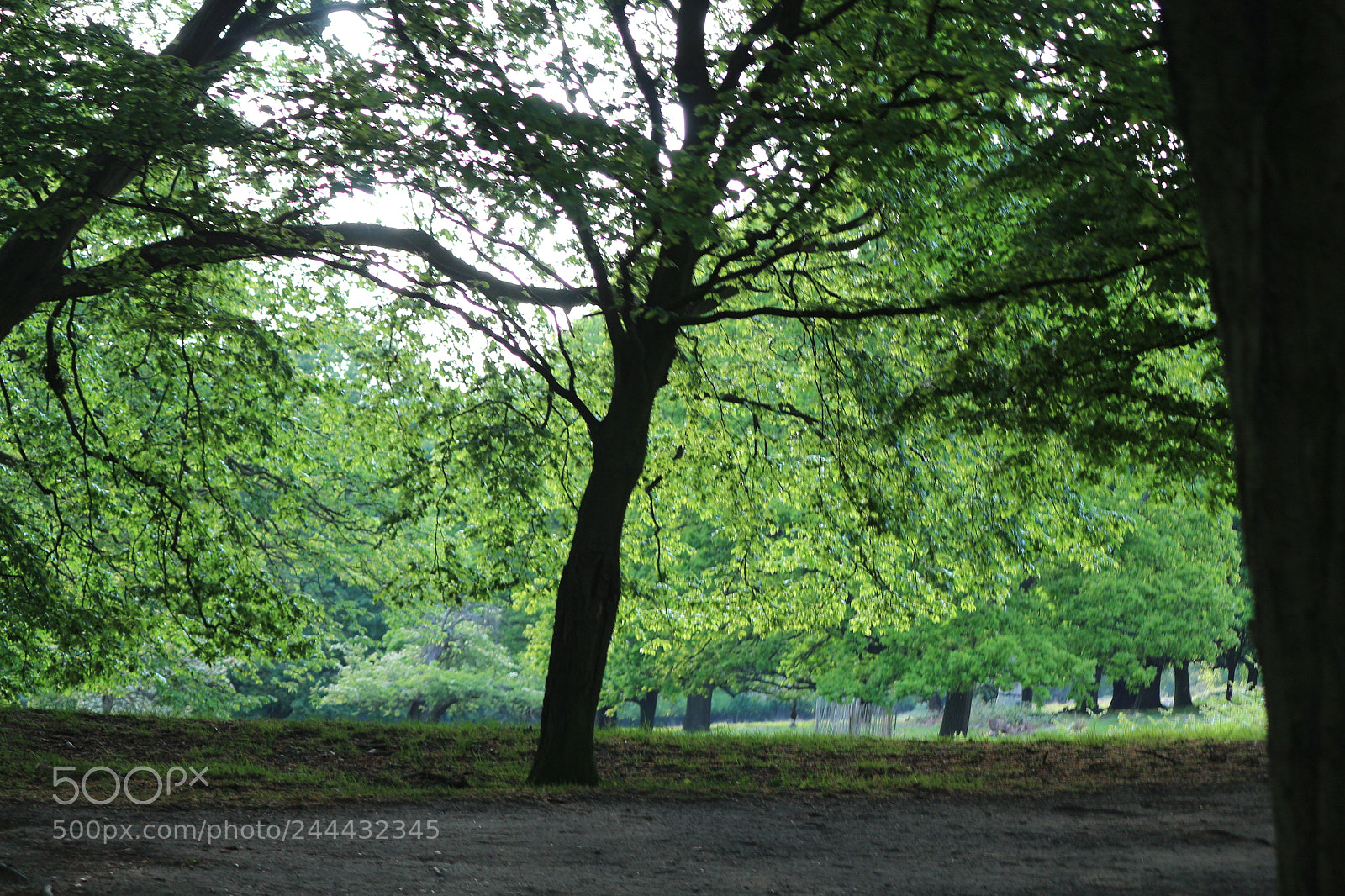 Canon EOS 650D (EOS Rebel T4i / EOS Kiss X6i) sample photo. Img photography