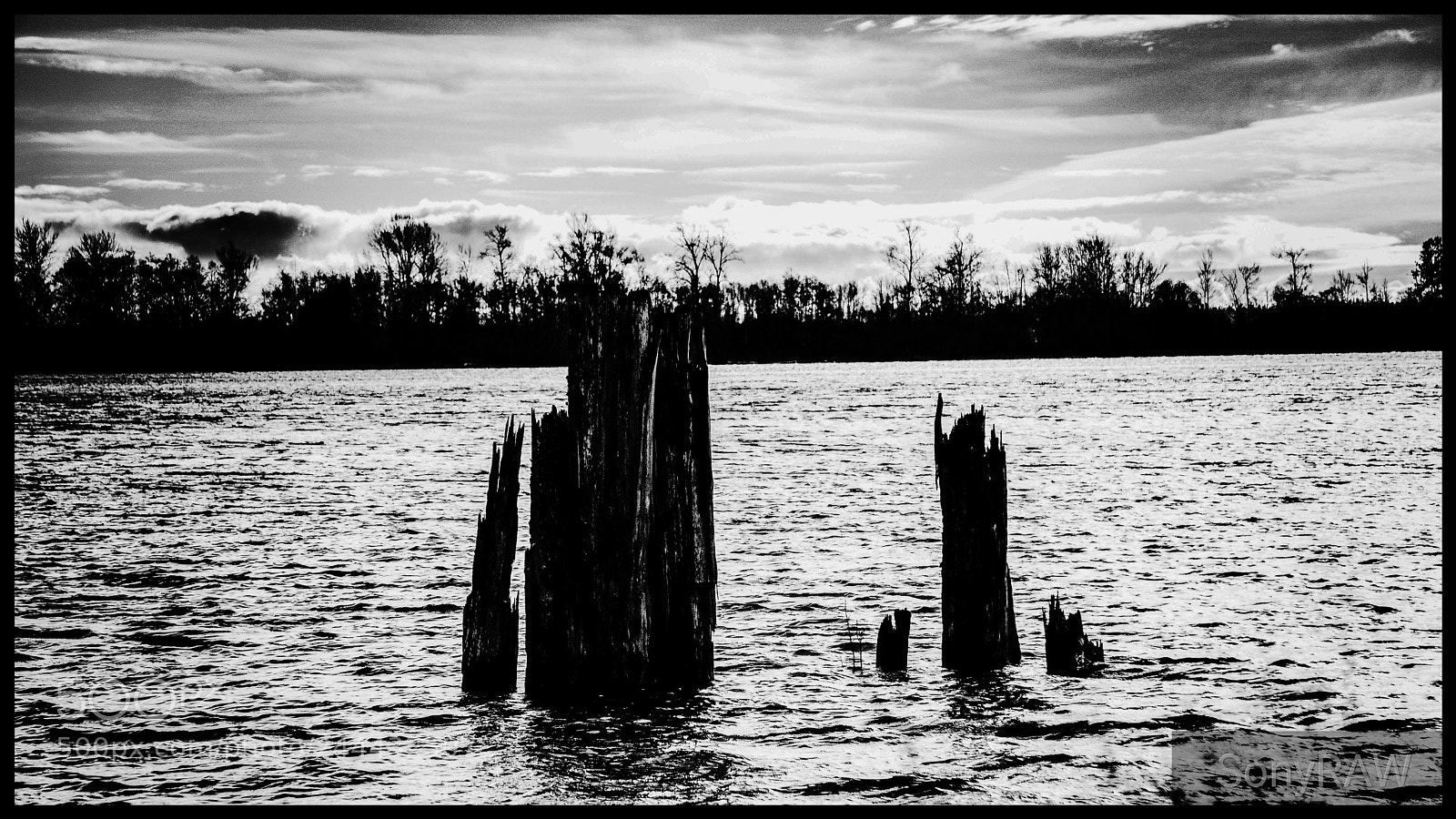 Sony a6500 sample photo. Woods in the lake photography