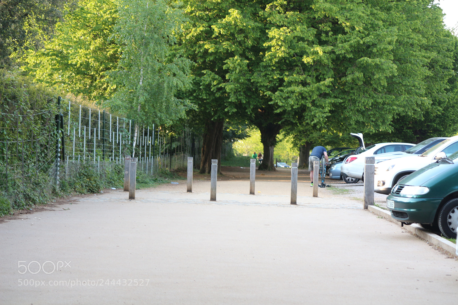 Canon EOS 650D (EOS Rebel T4i / EOS Kiss X6i) sample photo. Img photography