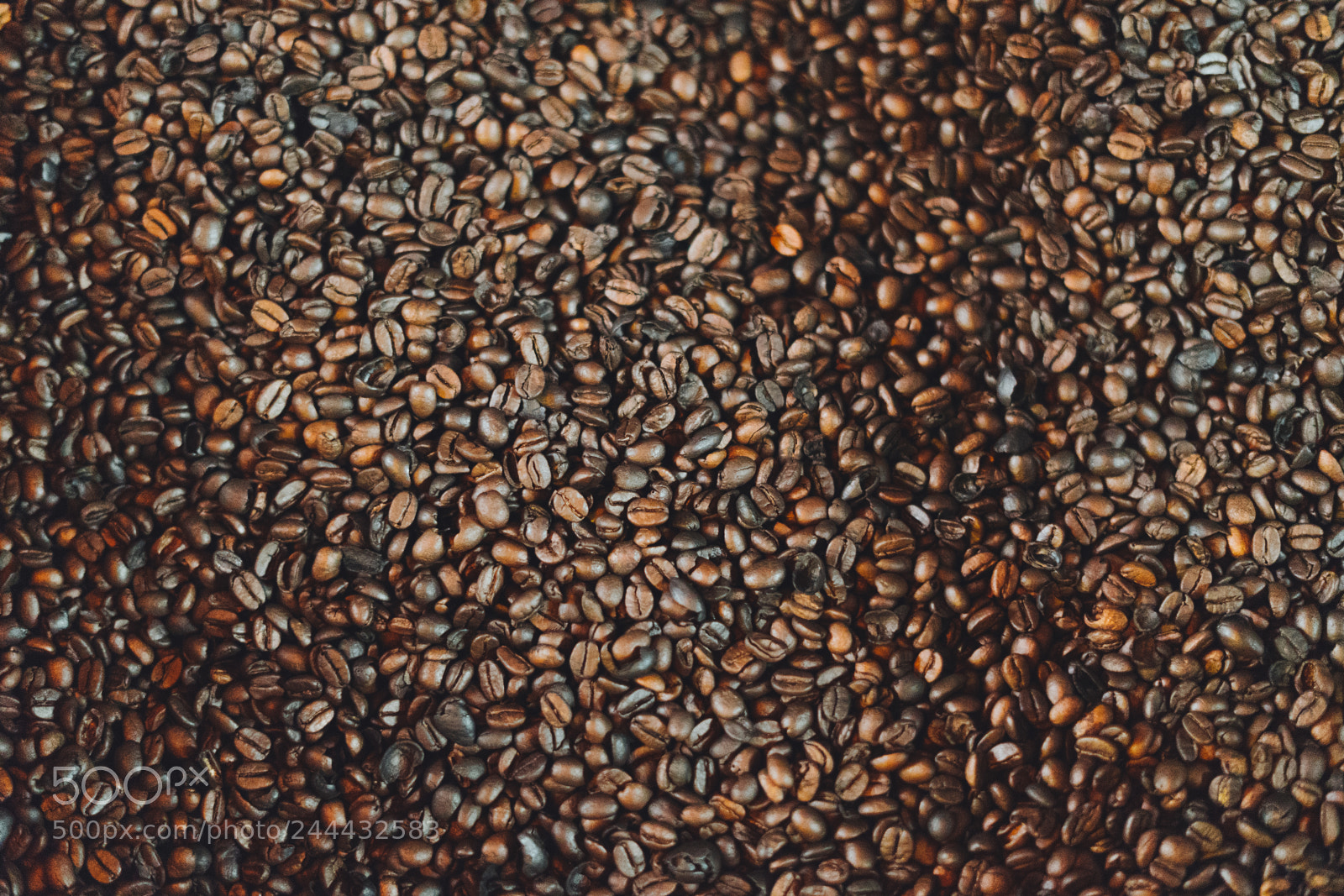 Sony a7 II sample photo. Coffee roaster photography