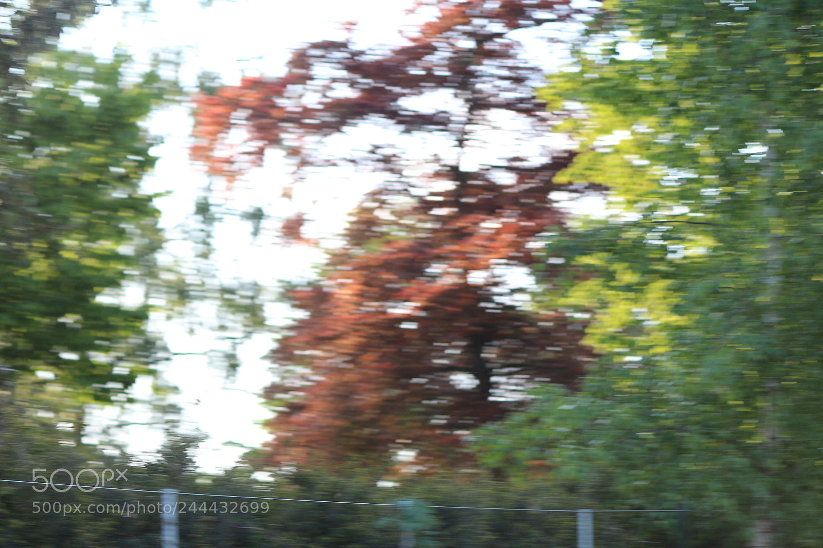 Canon EOS 650D (EOS Rebel T4i / EOS Kiss X6i) sample photo. Img photography