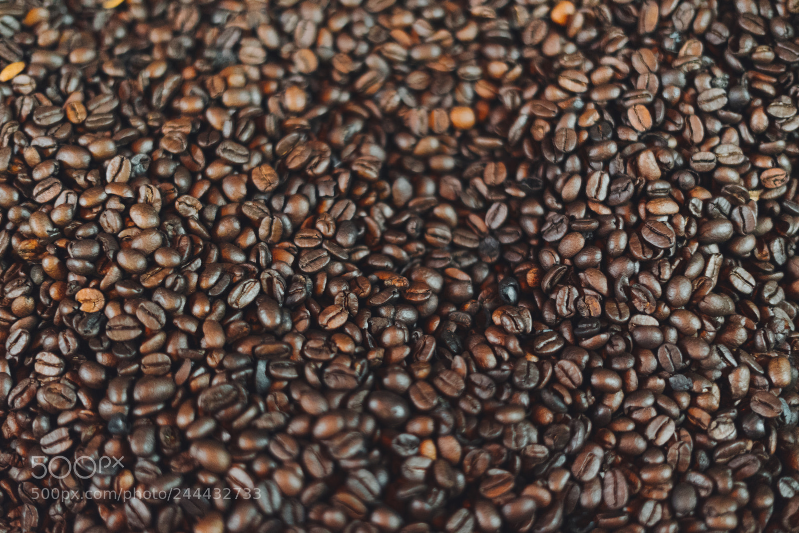 Sony a7 II sample photo. Coffee roaster photography