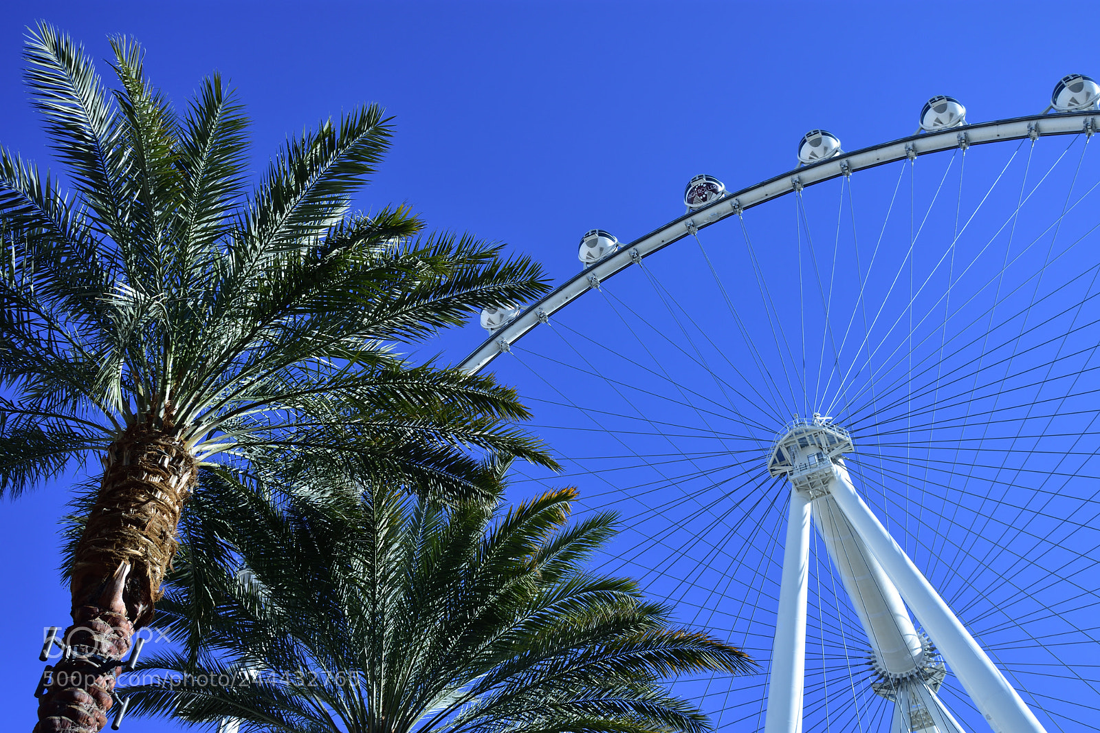 Nikon D3400 sample photo. Sky-roller photography