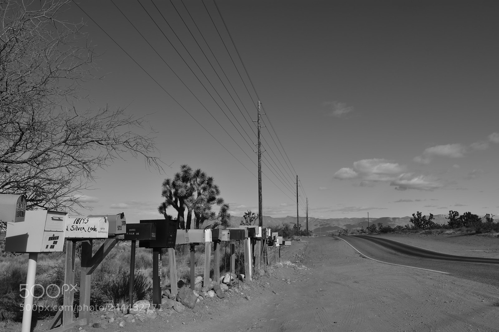 Nikon D3400 sample photo. Future photography