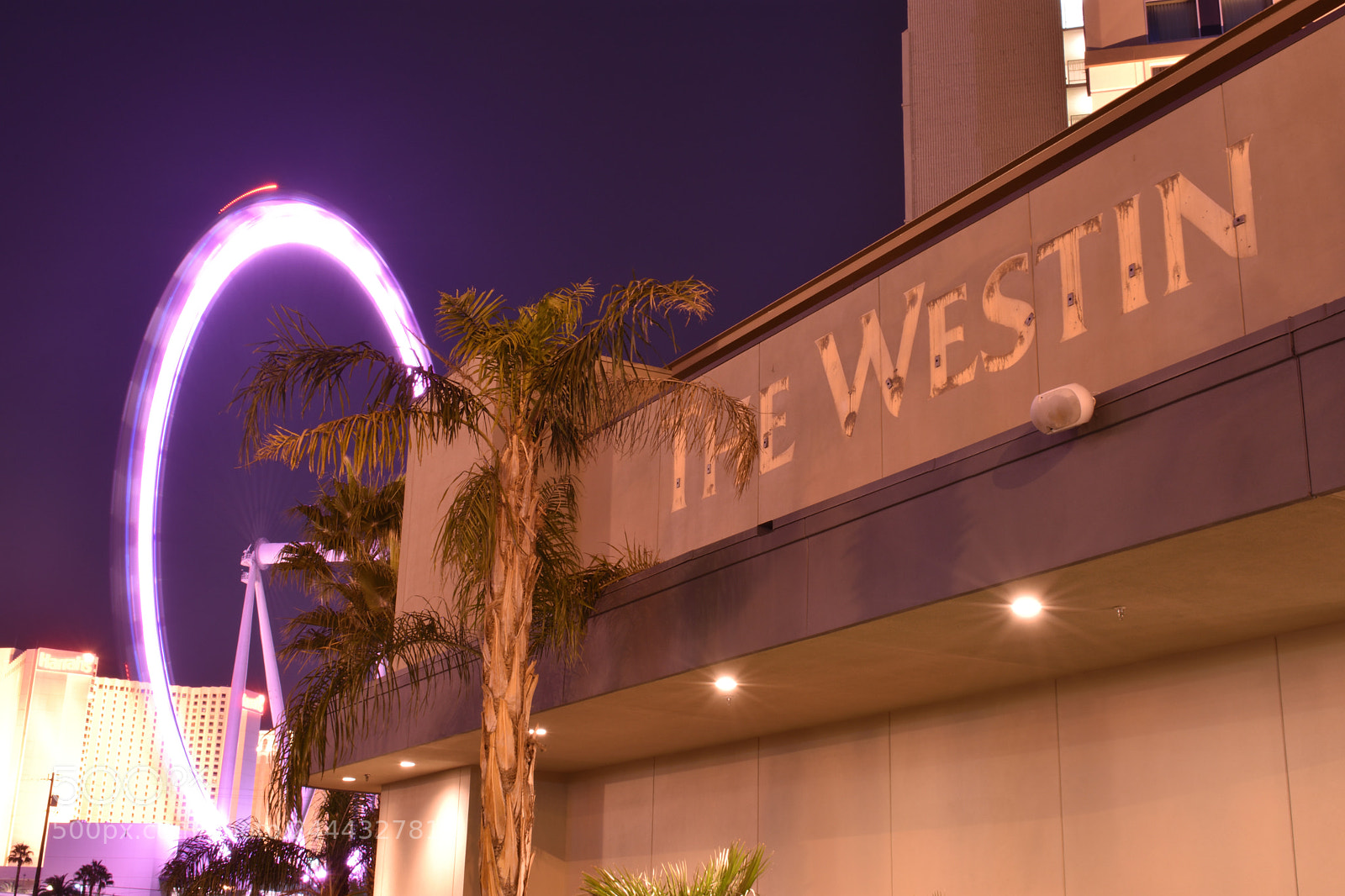 Nikon D3400 sample photo. Vegas-westin photography
